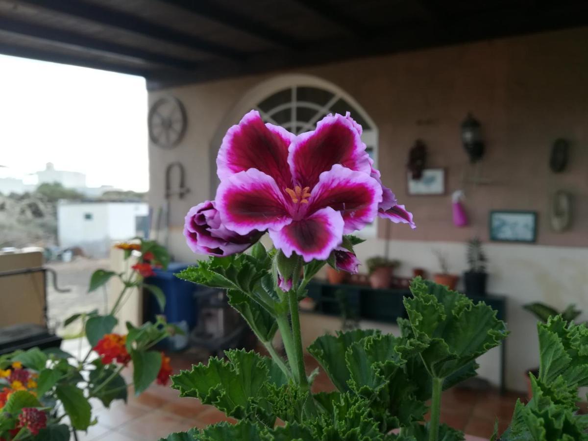 Casa Papi Lägenhet Lajares Exteriör bild